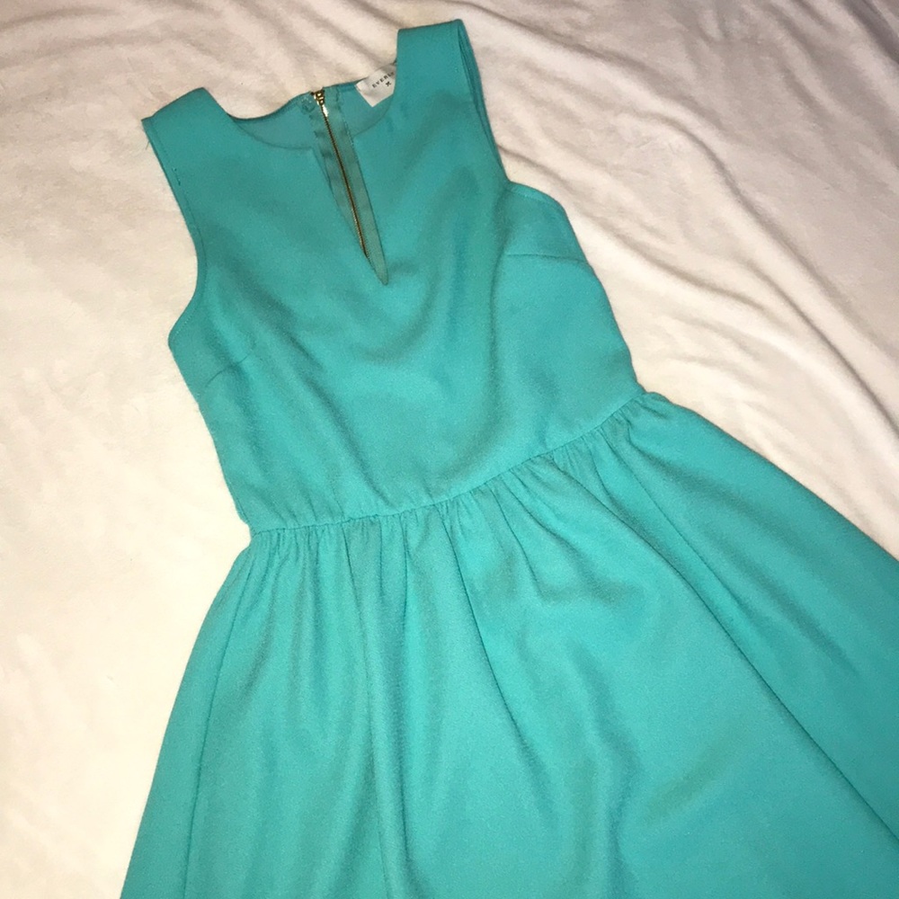 Everly skater dress